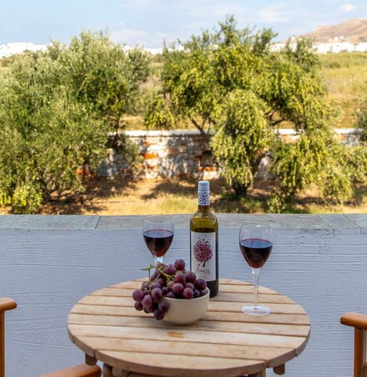 Surfer Paradise close to Agios Georgios Beach and Naxos Town